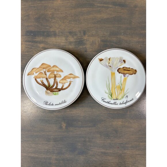 2 Bing & Grondahl Copenhagen Porcelain Mushroom Trivet or Wall Hanging Plate Dec - Picture 1 of 7